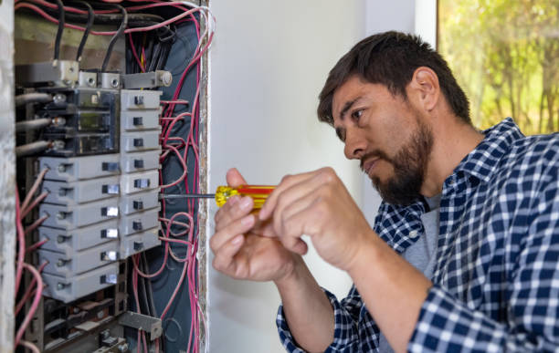 Best Electric Panel Repair  in Monticello, FL